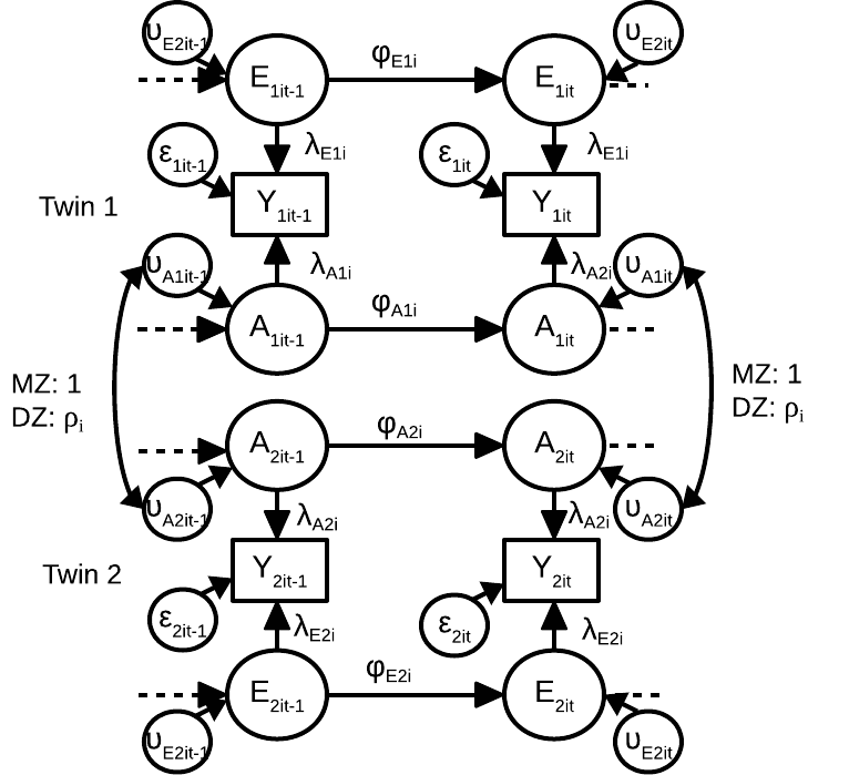 Multilevel Dynamic Twin Model